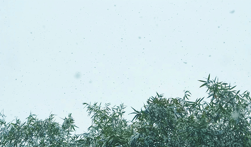 雪天稳产无忧！三圆堂振动筛冬季适配方案 + 专业维护指南